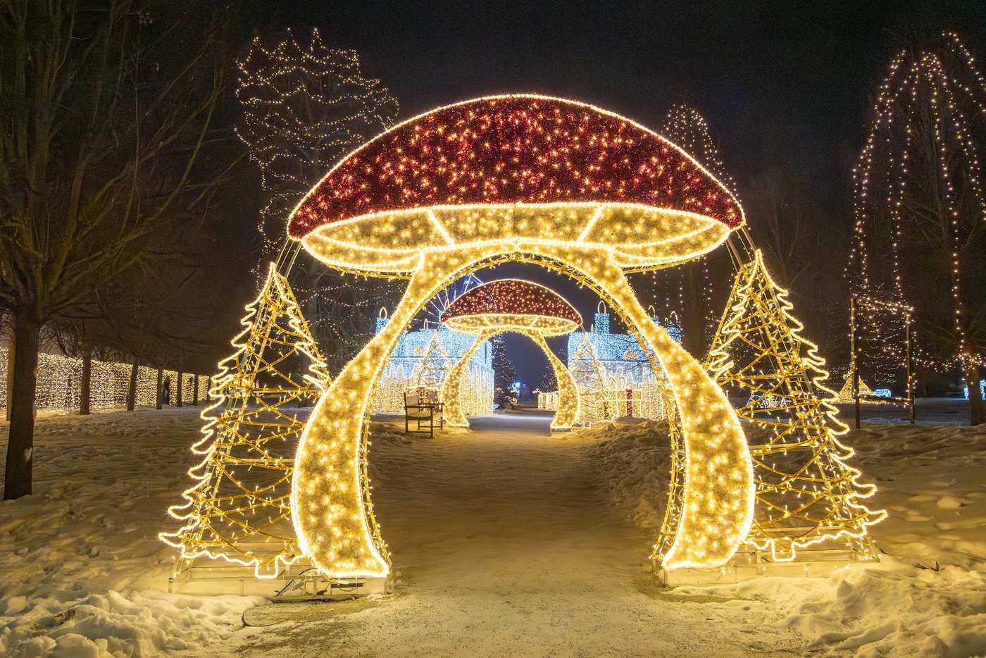 A red toadstool arch of lights flanked by illuminated conical trees over a snowy path