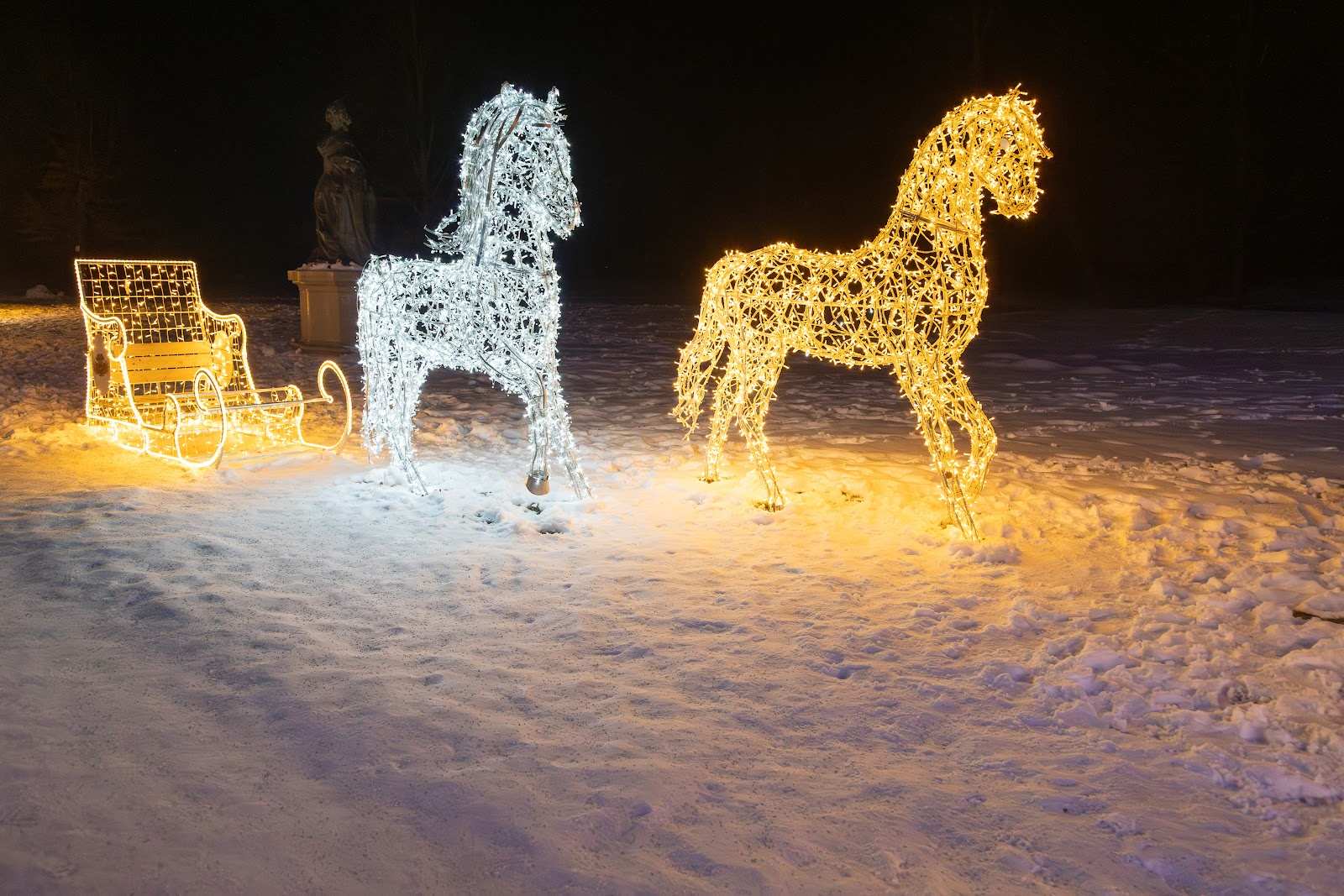Two light horses pulling a carriage on a snowy area